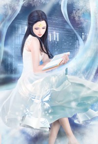 豪门闪婚:总裁的生子新娘